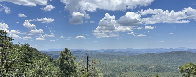 Old time fiddler illustration